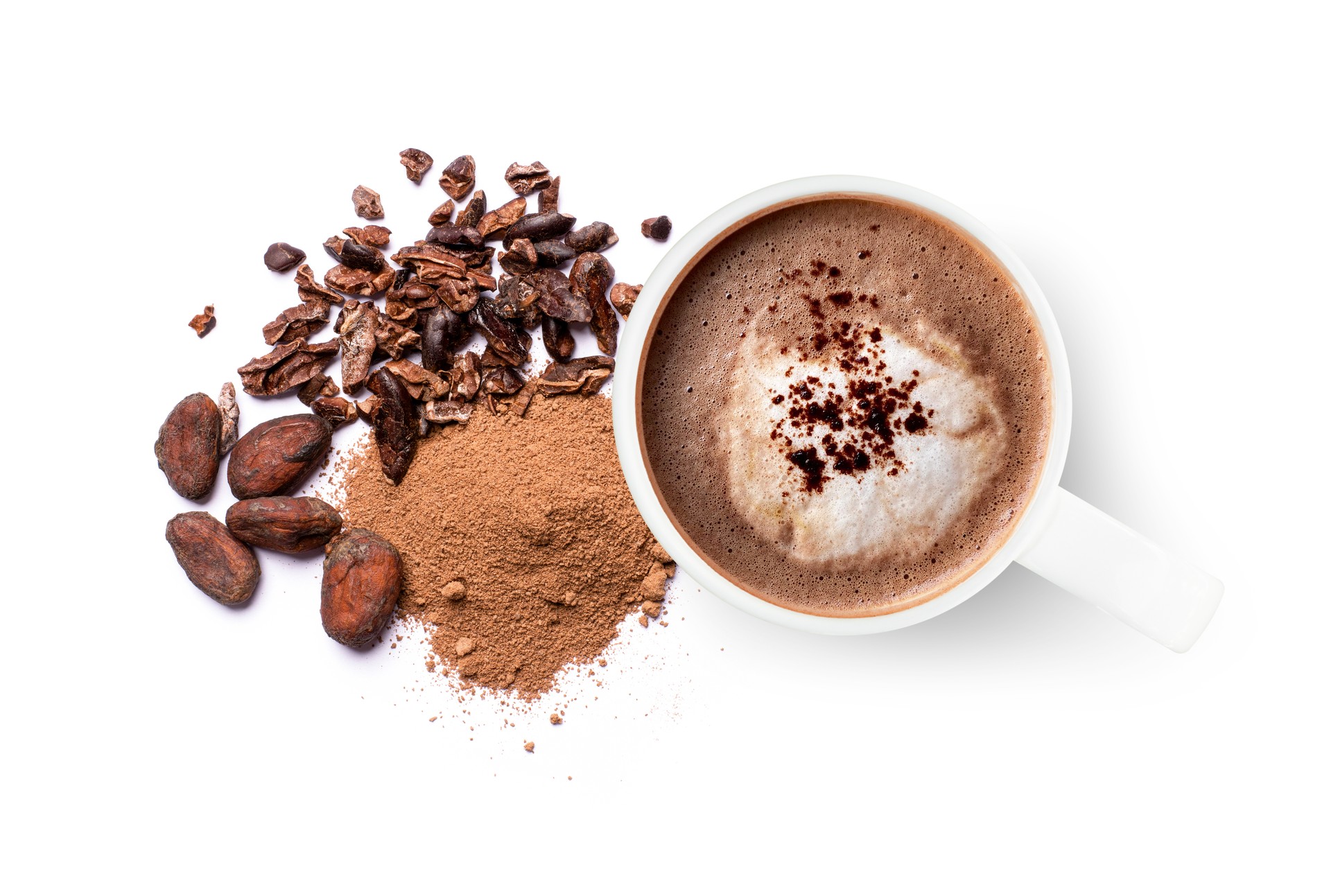 Mug of chocolate drink and cocoa powder with cacao beans